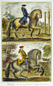 horses-4.jpg (153233 byte)