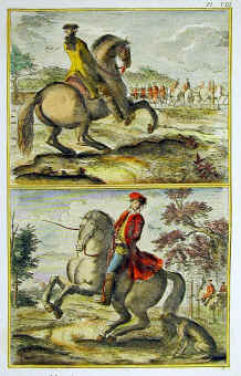 horses-5.jpg (153945 byte)