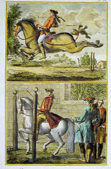 horses-6.jpg (168524 byte)